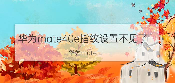 华为mate40e指纹设置不见了 华为mate 40e和荣耀m3选哪个？